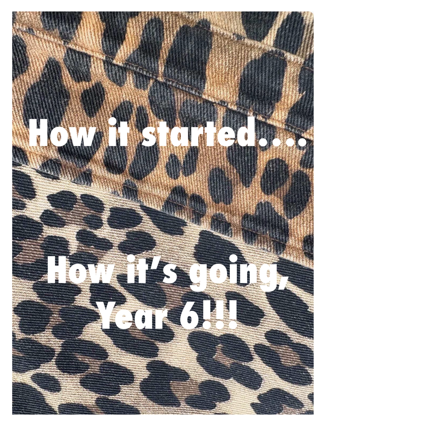 Baggy Boilersuit - Leopard