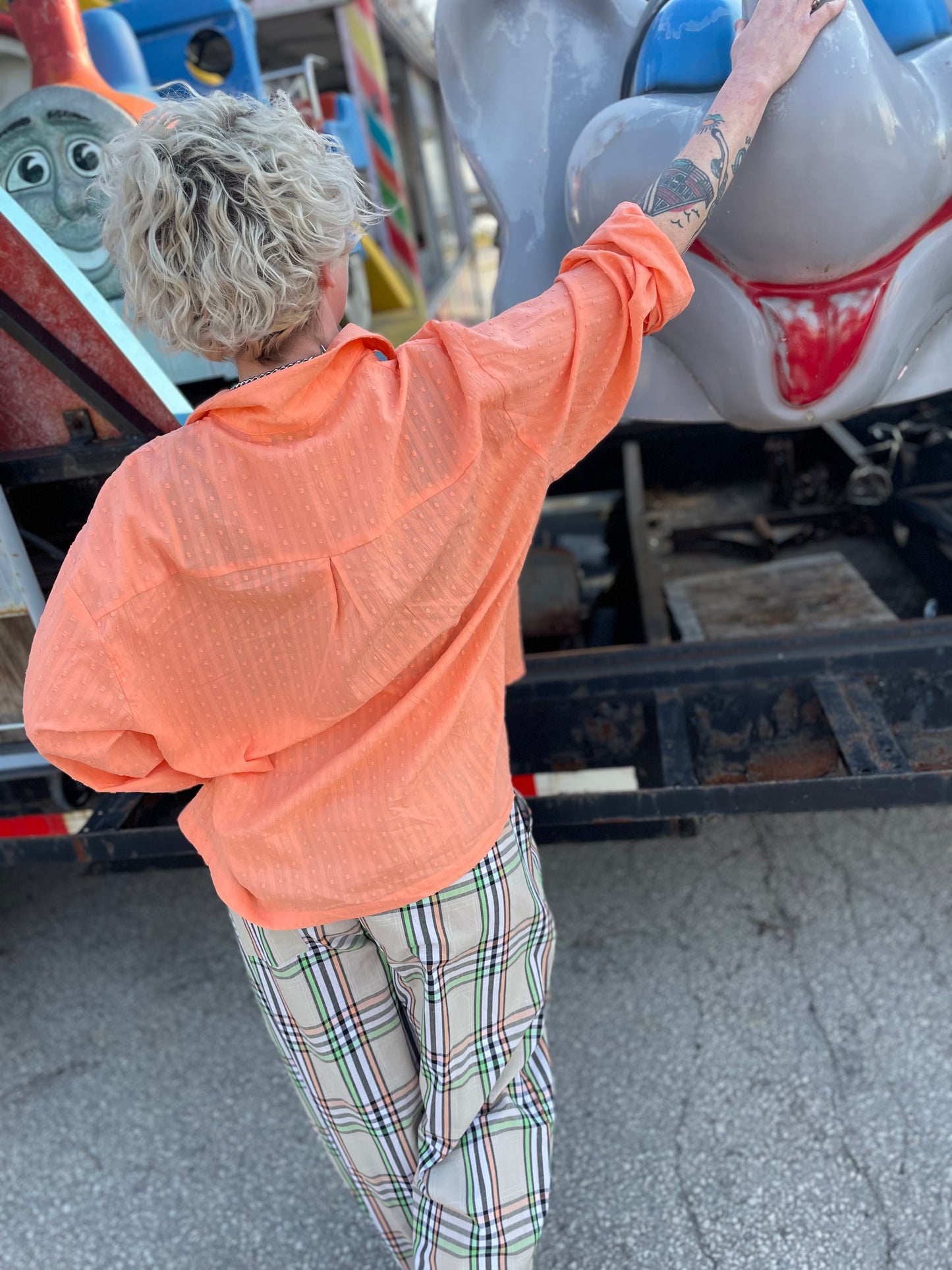 Carrot Pants - Plaid